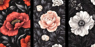 花卉图案 多彩花卉与黑底搭配