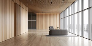 现代简约风格宽敞室内空间