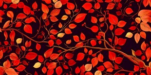 秋日红枫叶树枝图案背景