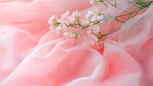 粉色绸布上的清新小白花