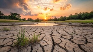 夕阳下干裂土地与小水塘