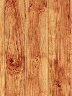 木纹纹理 自然木质素材