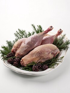 生鲜火鸡腿与松枝装饰盘