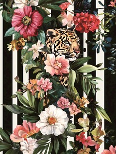 豹隐繁花间的野性浪漫