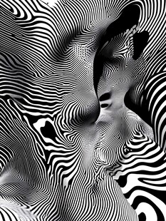 黑白斑马纹抽象艺术图案
