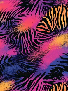 炫彩斑马纹抽象艺术图案
