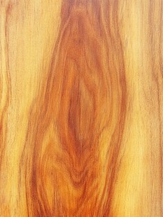 木纹纹理特写