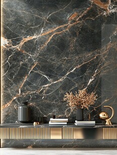 奢雅大理石背景墙家居一角