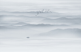 水墨画山水