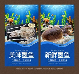 墨鱼