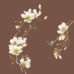 玉兰花