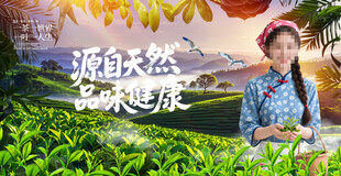 采茶姑娘