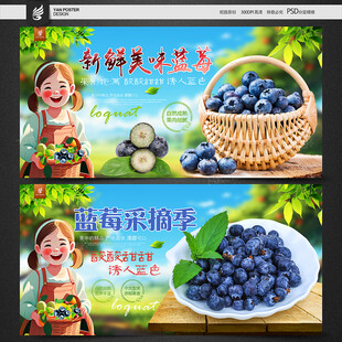 蓝莓