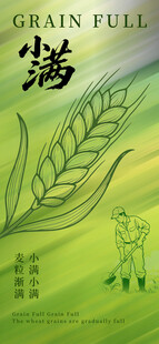 小满节气麦穗插画图