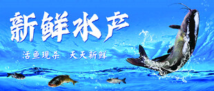 水产灯箱