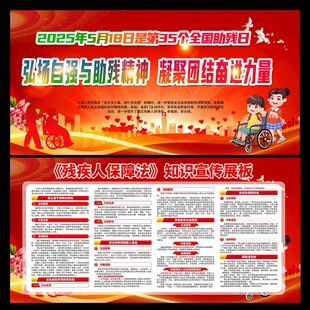 第35个全国助残日宣传海报