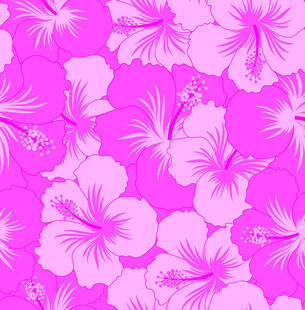 扶桑花