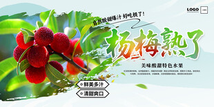 杨梅