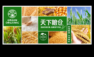 天下粮仓 
