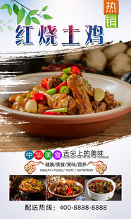 红烧土鸡  