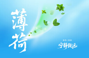 薄荷