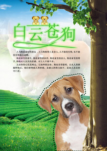 12生肖之狗海报