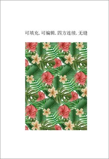 热带花卉 热带风情植物背景