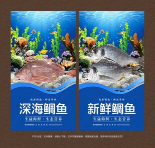鲷鱼