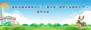 藏房古碉野生动物背景