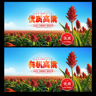 高粱