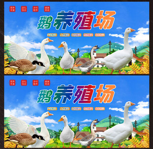 鹅