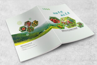 招商引资指南画册封面