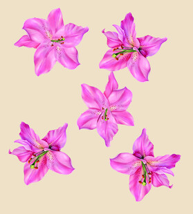 花奔