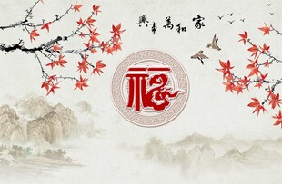 家和万事兴背景墙