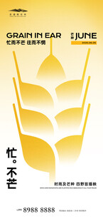 芒种