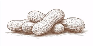 手绘堆叠花生插画