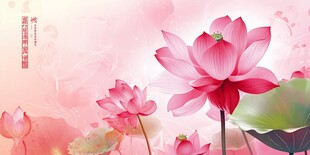 粉色梦幻荷花唯美插画