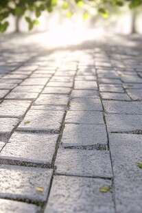 阳光洒落的砖石小路