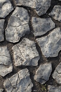 干裂土地纹理特写