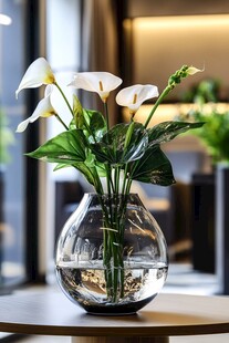 透明花瓶中的白色马蹄莲