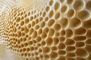 蜂巢纹理特写