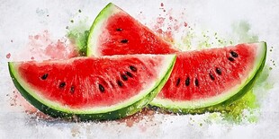 水彩风格的鲜切西瓜画面