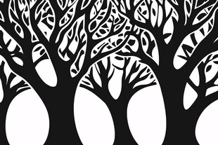 黑白树影轮廓图案