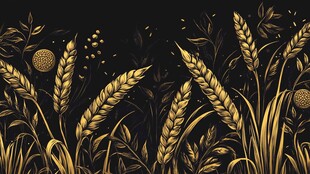 金色麦田植物插画背景图