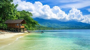 海滨木屋 绝美热带风光