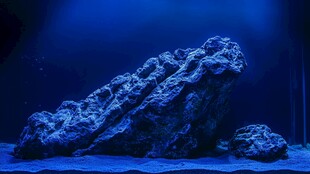 海底嶙峋岩石景观