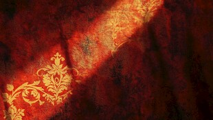 红色花纹布上的光影魅力