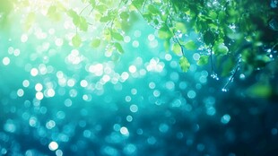 梦幻绿叶光斑自然背景图
