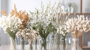 素雅干花组合装点温馨空间