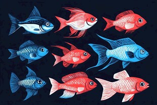 多彩金鱼插画集合